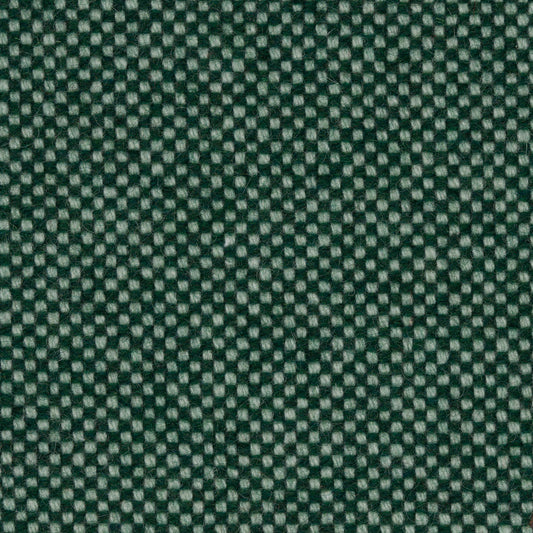 216 - Forest Fern