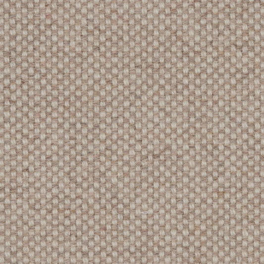 243 - Champagne