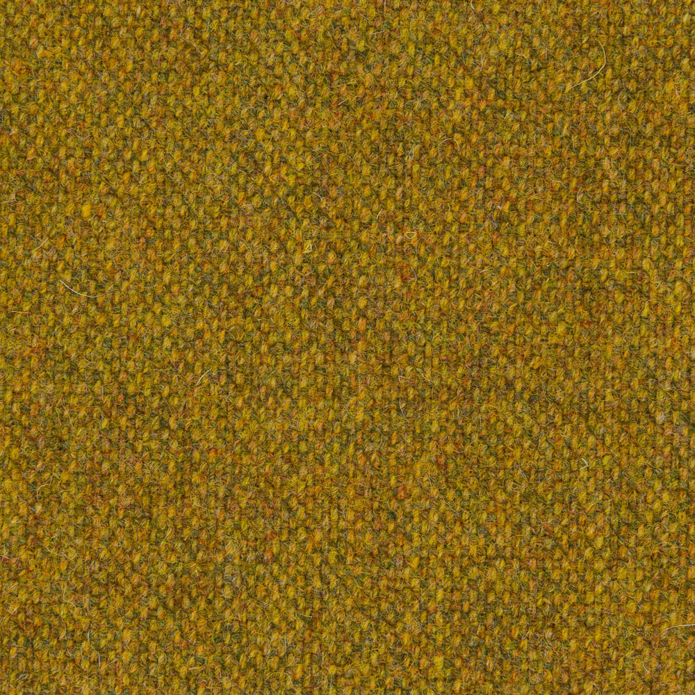 147 - Lichen