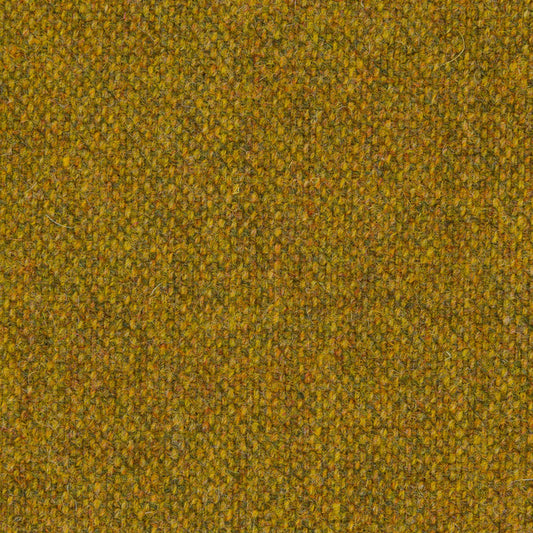 147 - Lichen