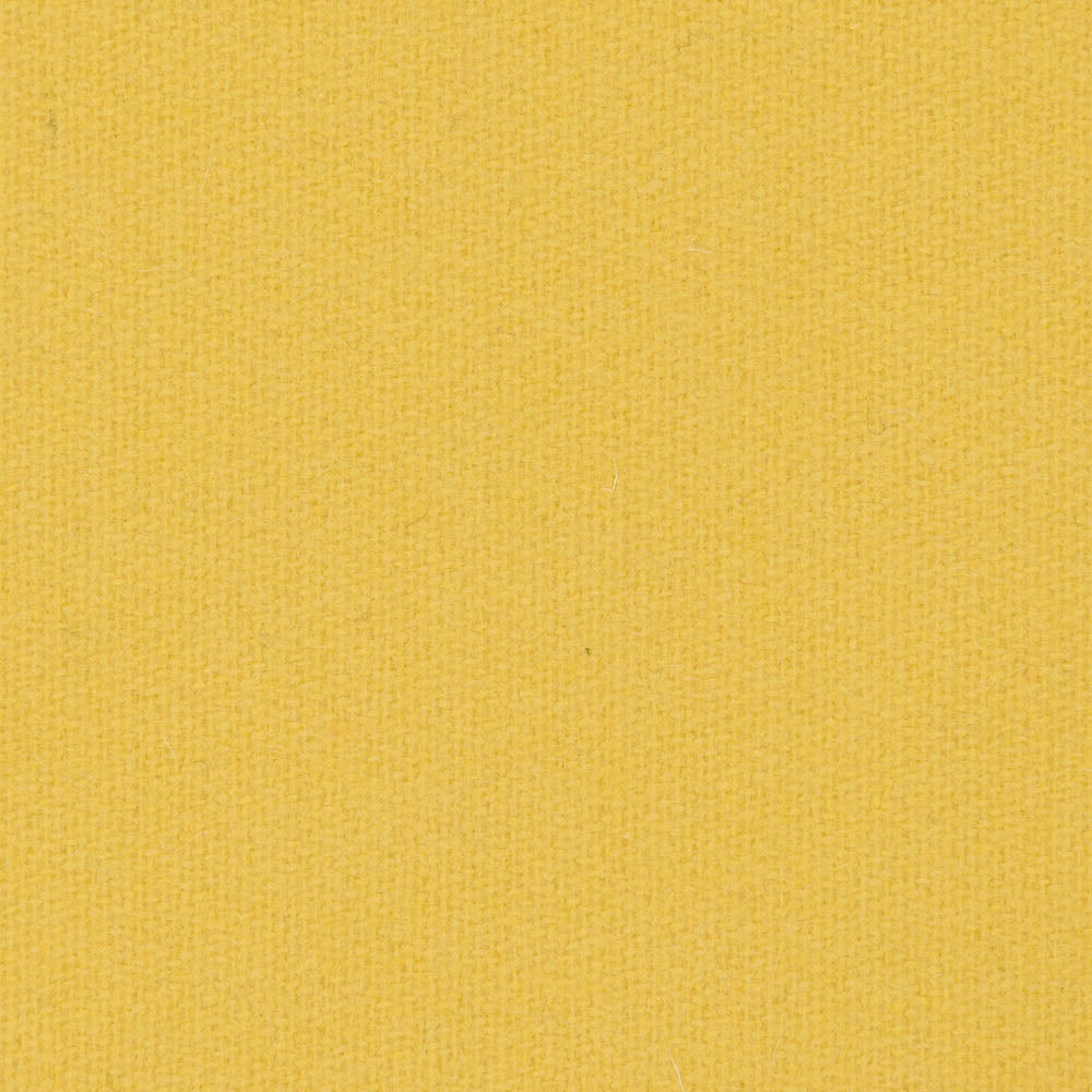 0437 - Sunflower