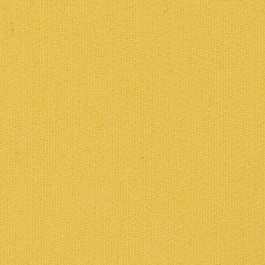 0437 - Sunflower