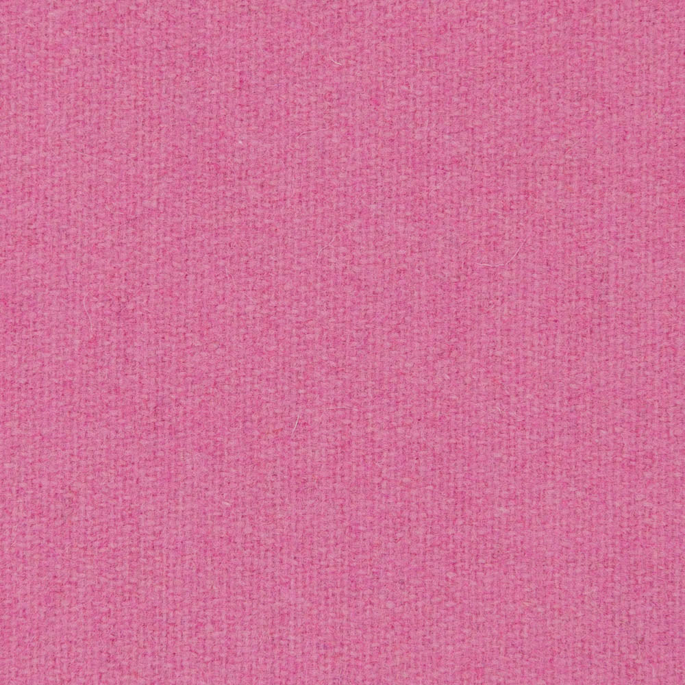 0447 - Carnation
