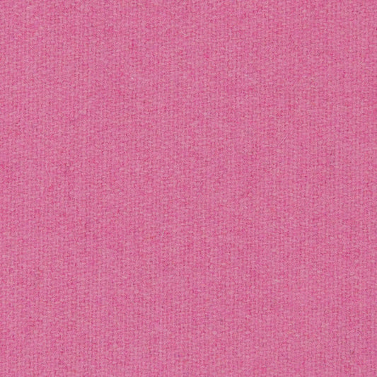 0447 - Carnation