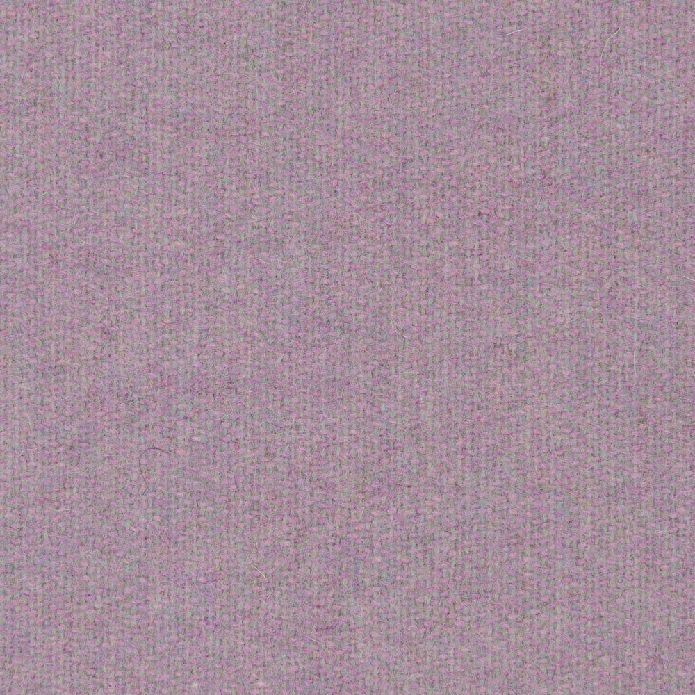 0449 - Violetta