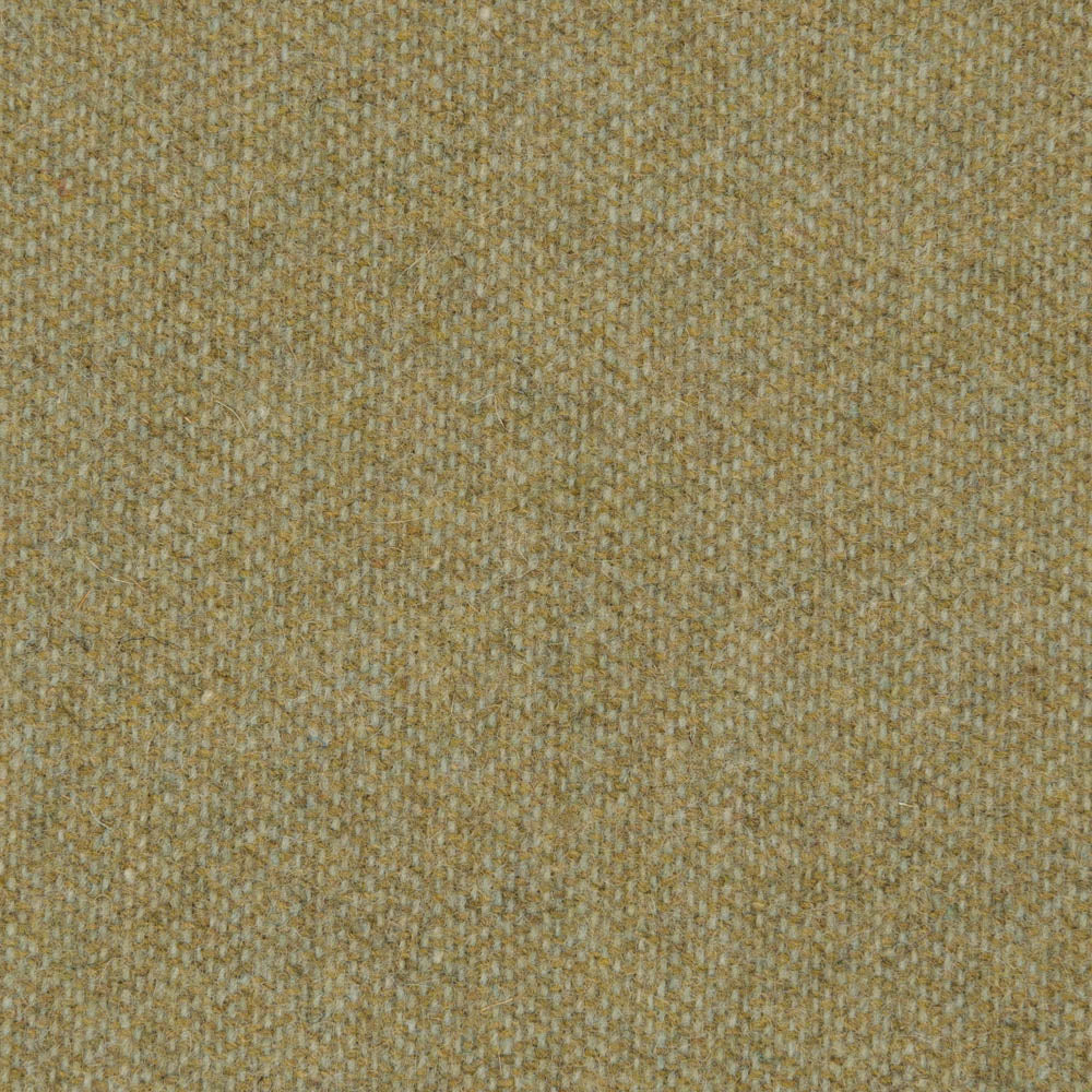 0481 - Dry Grass