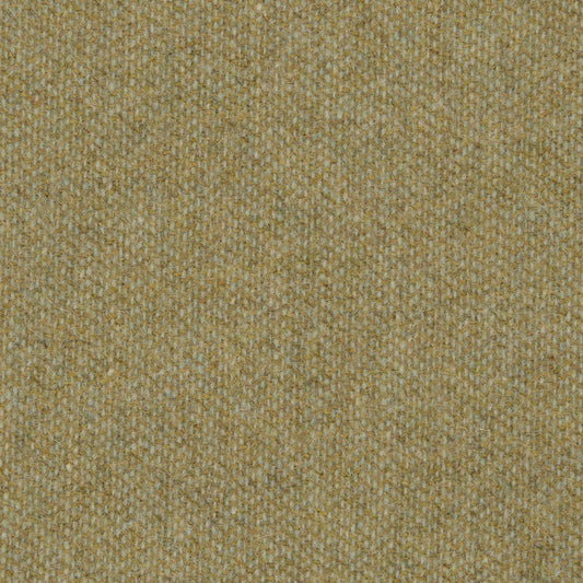 0481 - Dry Grass