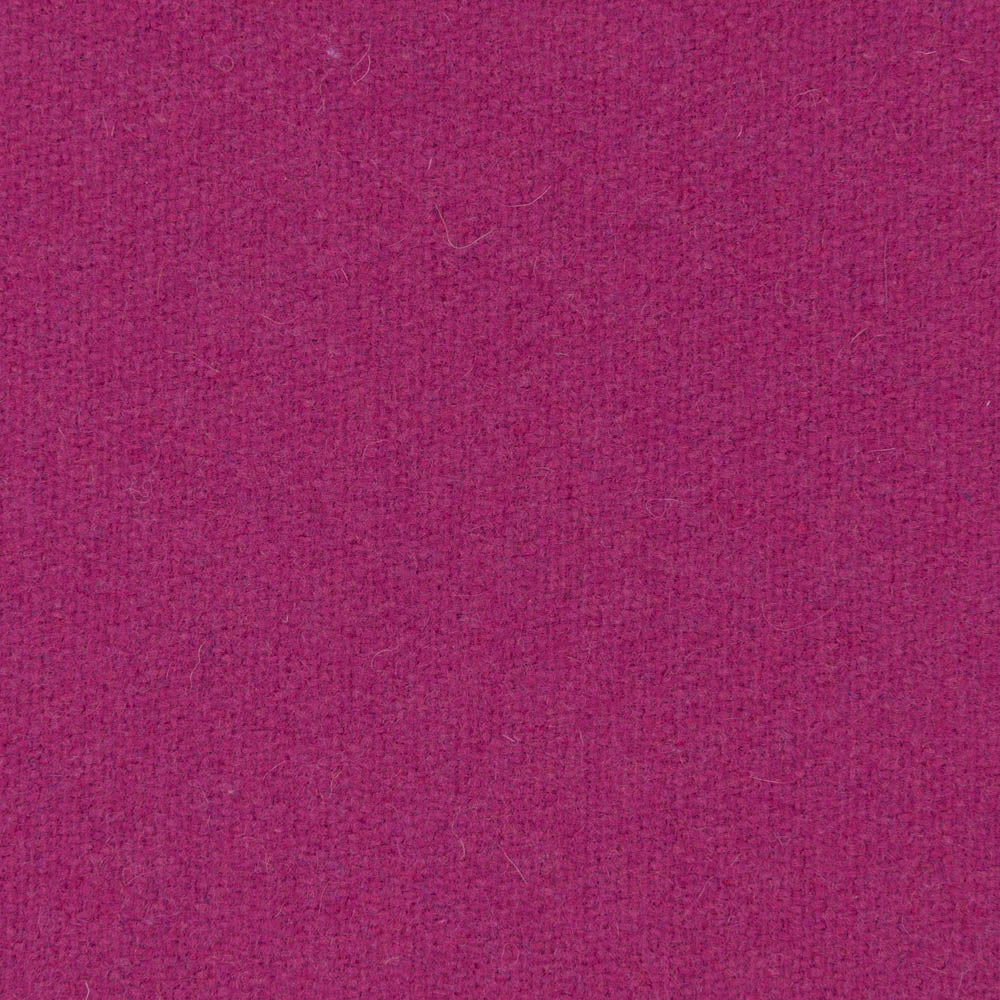 0500 - Iris