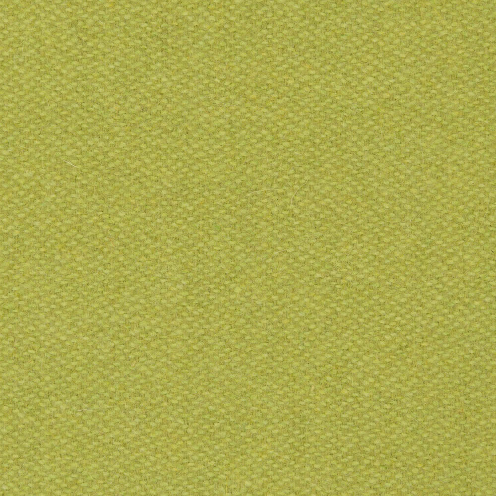 0543 - Young lime