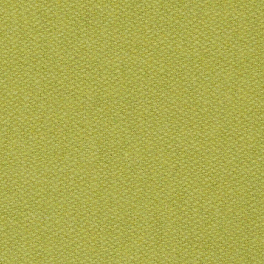 0543 - Young lime