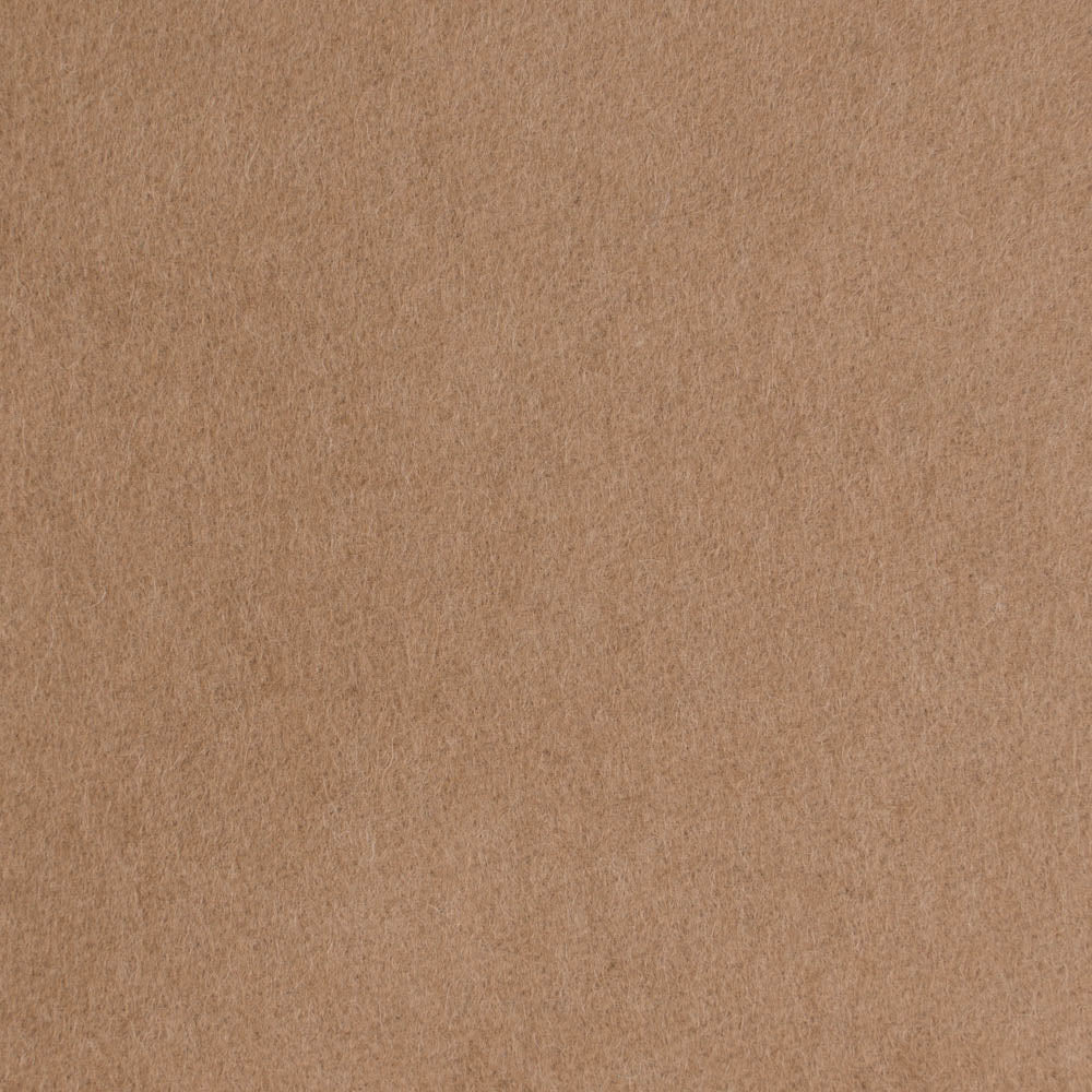11 - Fawn