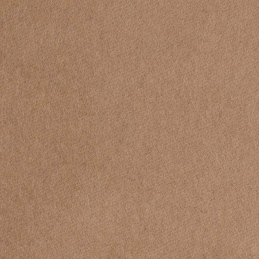 11 - Fawn