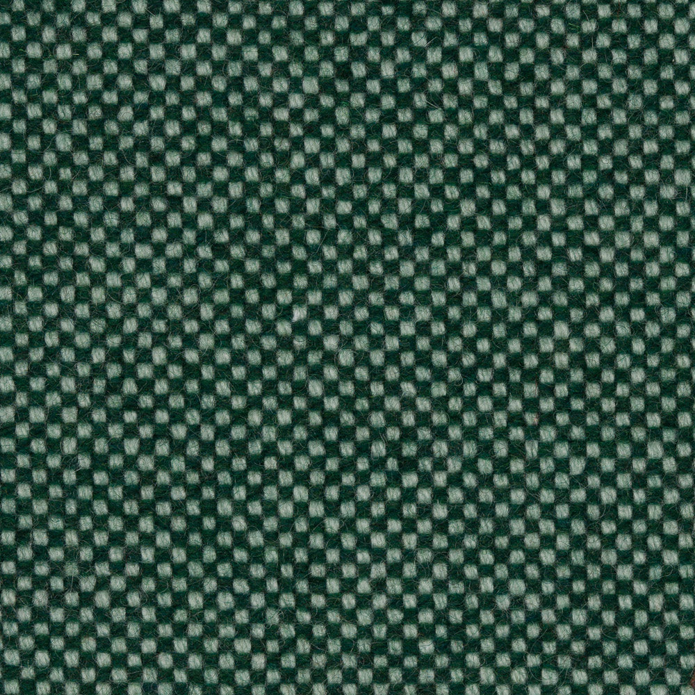 216 - Forest Fern
