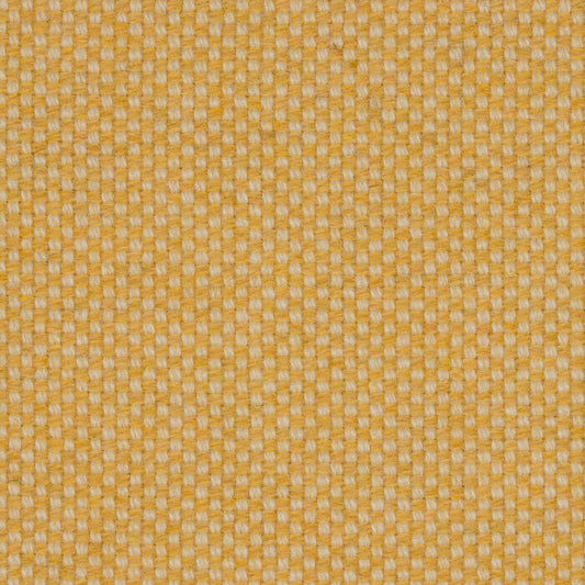 240 - Limoncello