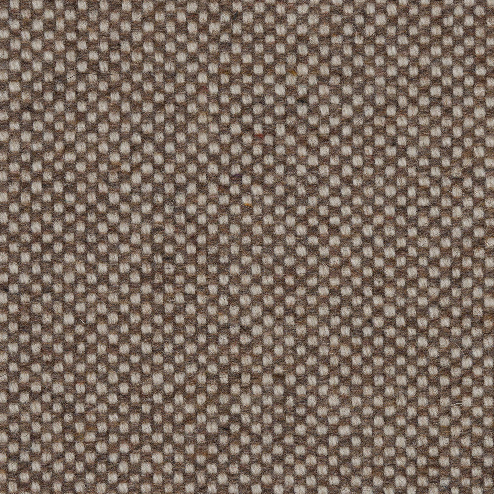 245 - Biscuit