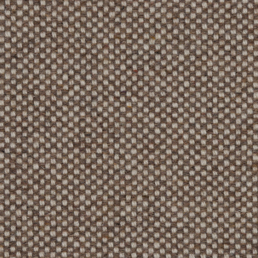 245 - Biscuit