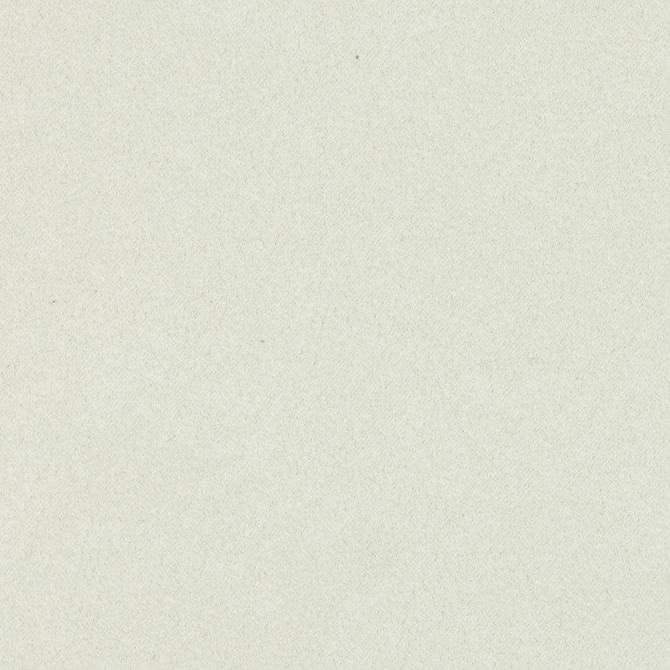 100 - Egg Shell
