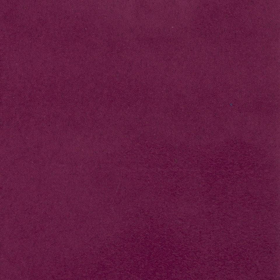 008 - Fuchsia