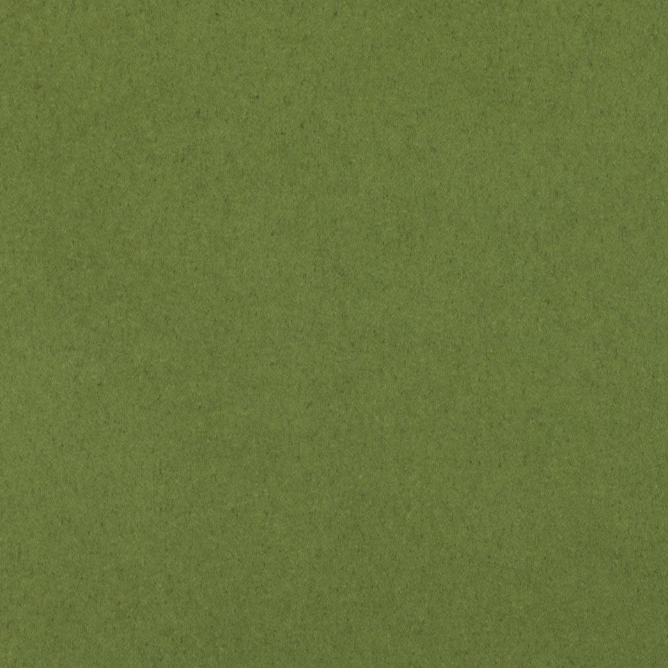 808 - Kiwi