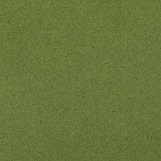 808 - Kiwi