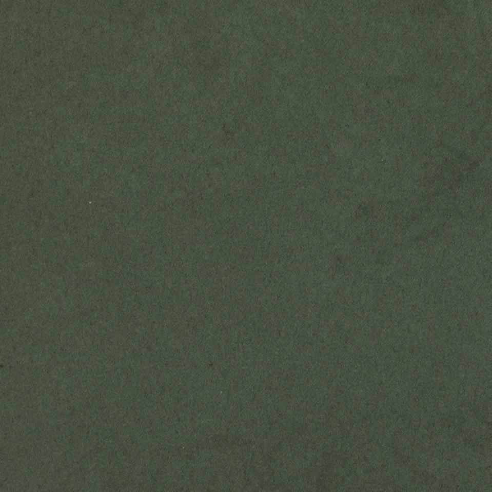 801 - Sage
