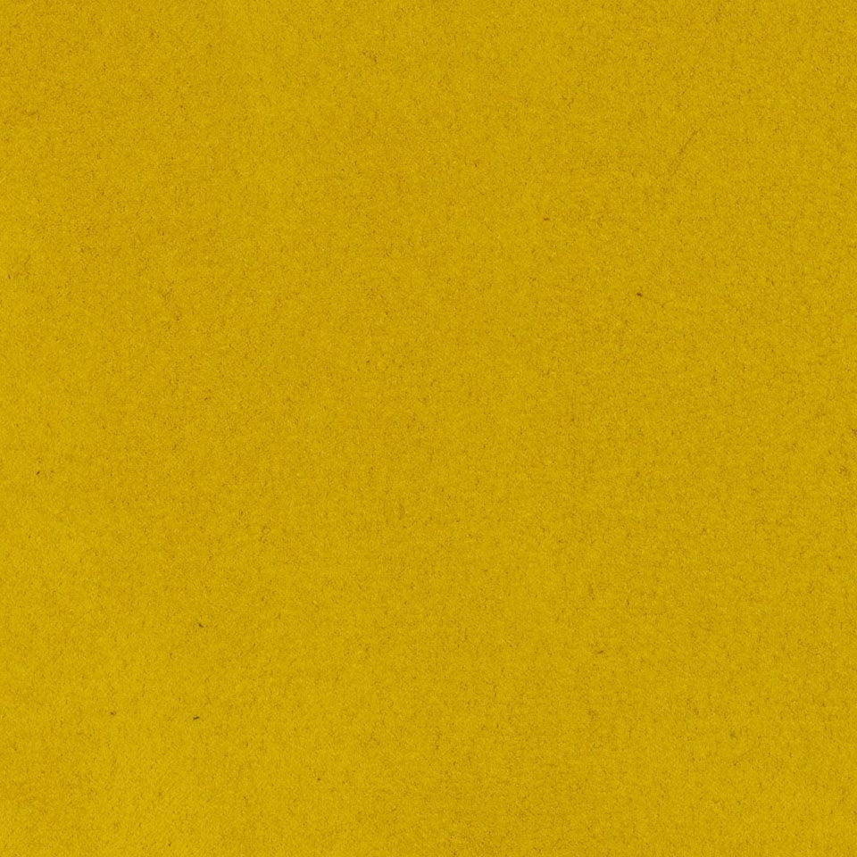 503 - Sunflower
