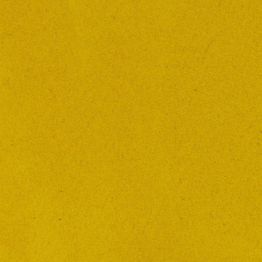 503 - Sunflower