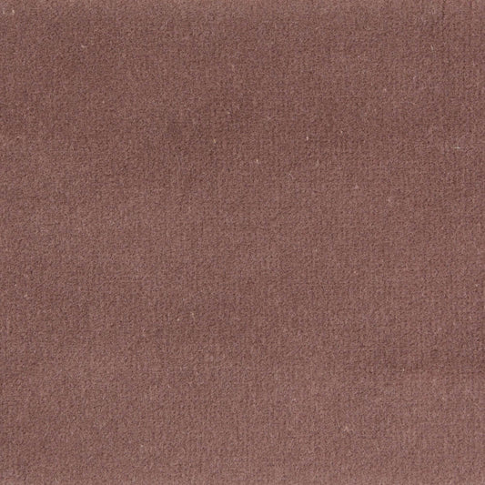 307 - Mulberry