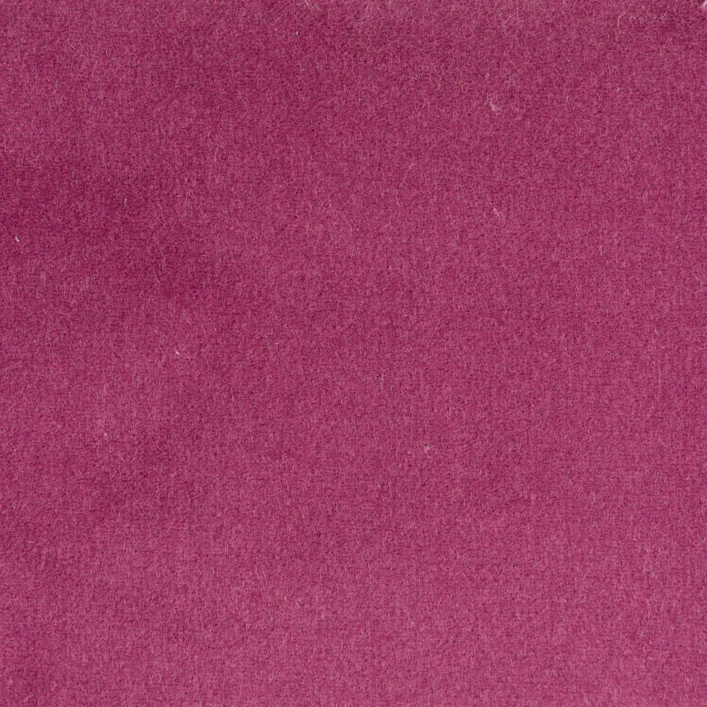 309 - Plum