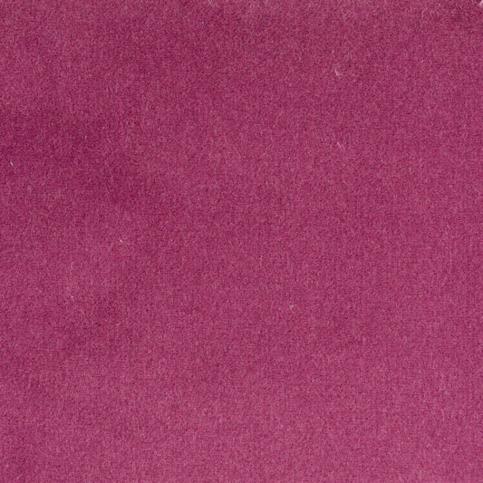 309 - Plum