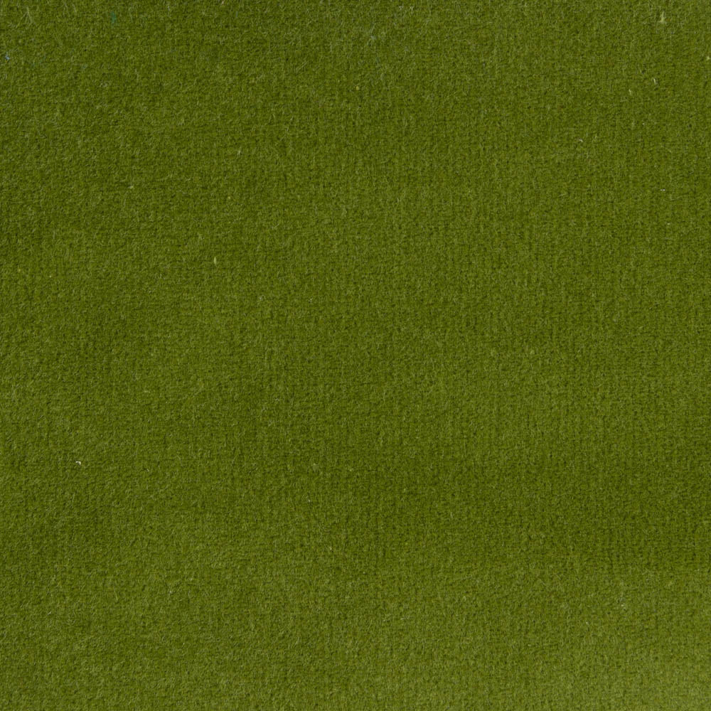 324 - Moss
