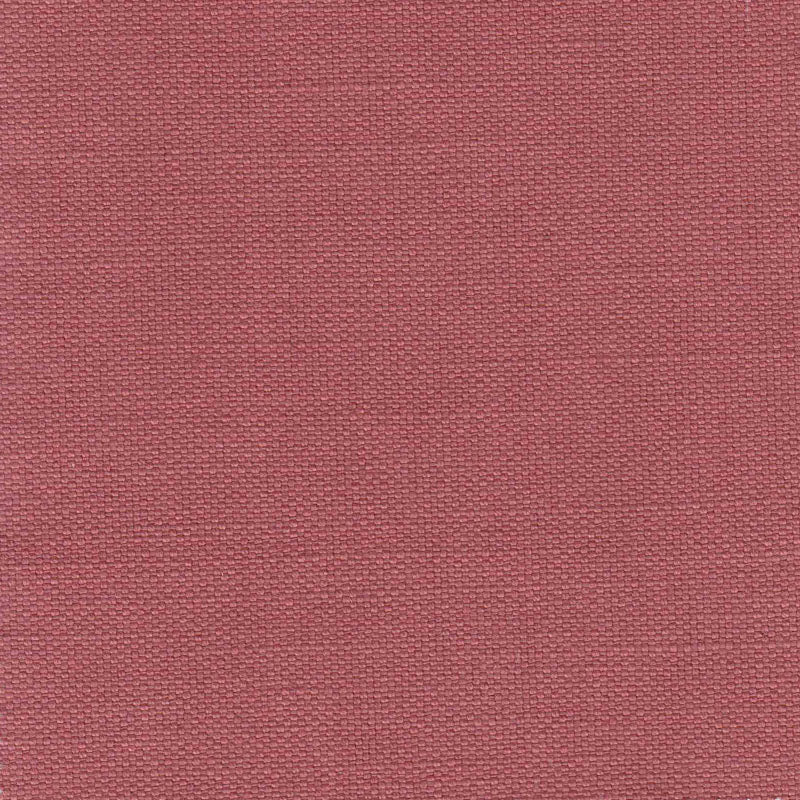 Conch Pink