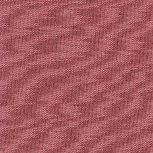 Conch Pink