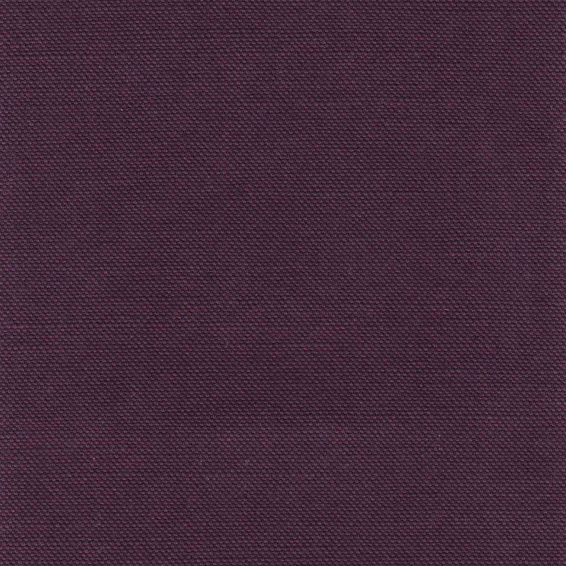 Salvia