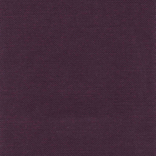 Salvia